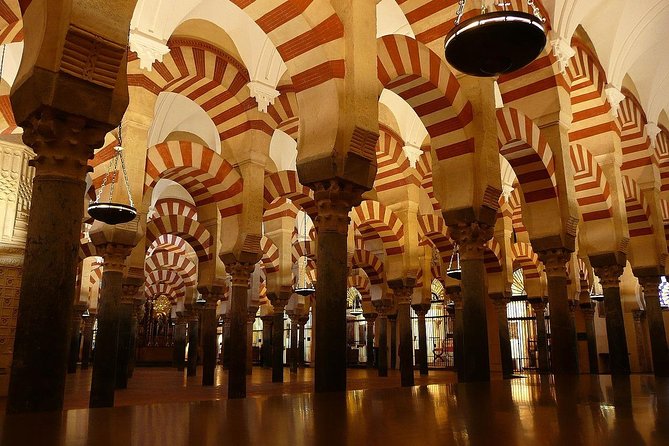 Private Visit Mosque-Cathedral, Jewish quarter, Alcazar and Synagogue - The Alcázar and its gardens: an important qualification