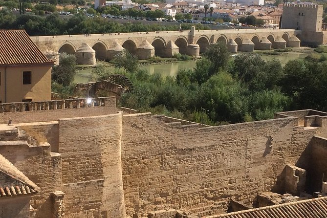 Private Visit Mosque-Cathedral, Jewish quarter, Alcazar and Synagogue - What the private format is really worth