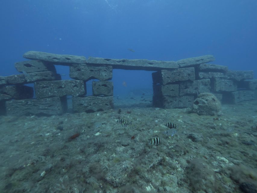 Puerto de Mogán: Submarine Tour - Key points about the Golden Shark tour