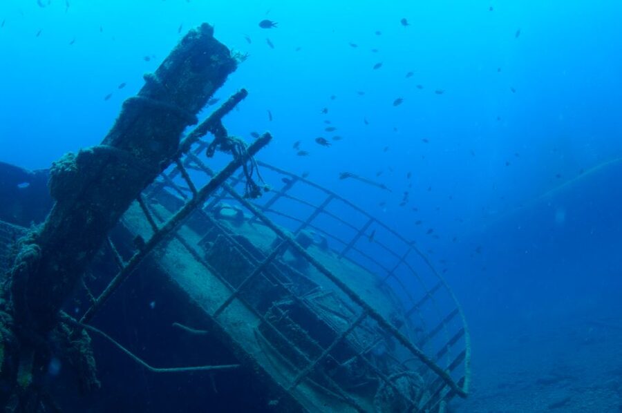 Puerto de Mogán: Submarine Tour - Shipwrecks, fish, and the artificial reef