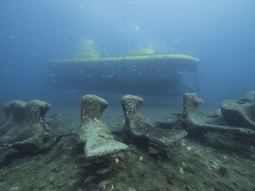 Puerto de Mogán: Submarine Tour - Audio commentary and onboard comfort