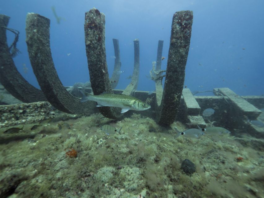 Puerto de Mogán: Submarine Tour - Weather and visibility matter