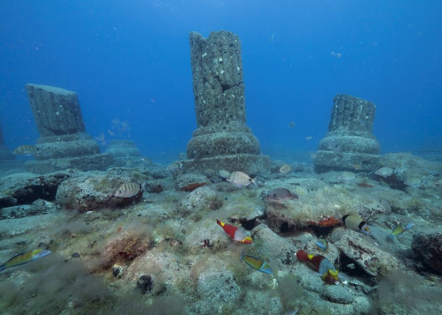 Puerto de Mogán: Submarine Tour - Who will enjoy this most?