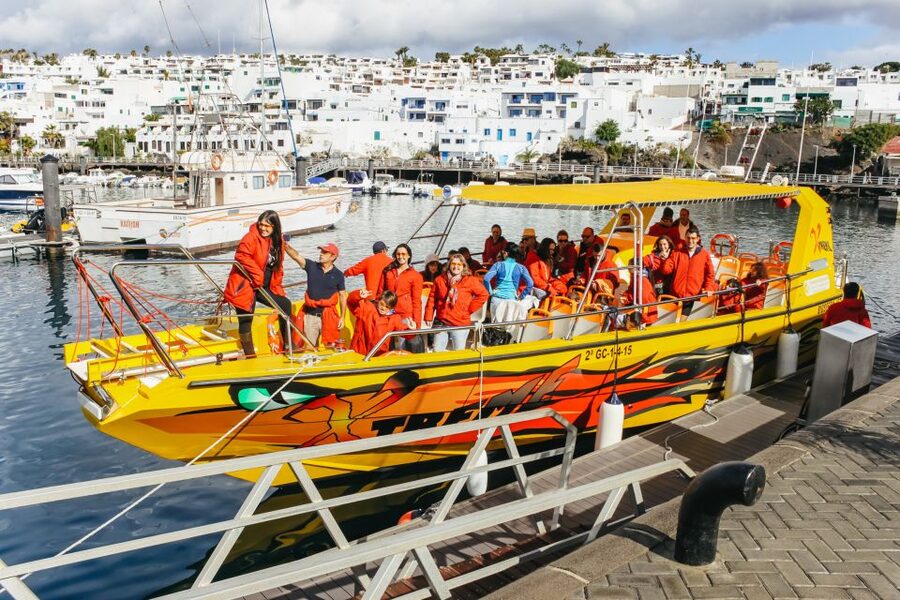Puerto del Carmen: Dolphin-Watching Speedboat Tour with Swim - What the Puerto del Carmen boat trip is really about