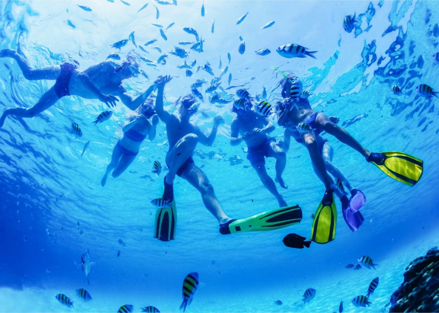 Puerto del Carmen: Dolphin-Watching Speedboat Tour with Swim - Should you book it?