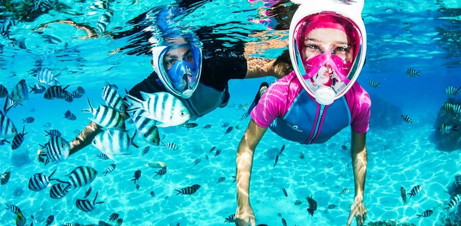 Puerto del Carmen: Dolphin-Watching Speedboat Tour with Swim - Why the guides make a difference