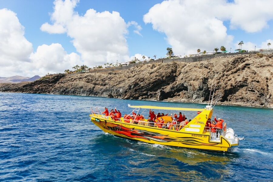 Puerto del Carmen: Dolphin-Watching Speedboat Tour with Swim - Practical tips for a better outing