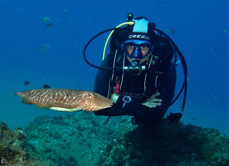 Puerto Del Carmen: Try Scuba Diving with 2 Dives and Photos - A calm introduction to scuba at Playa Chica