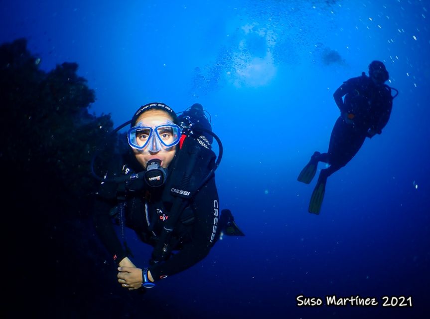 Puerto Del Carmen: Try Scuba Diving with 2 Dives and Photos - Who will enjoy this Puerto del Carmen experience?