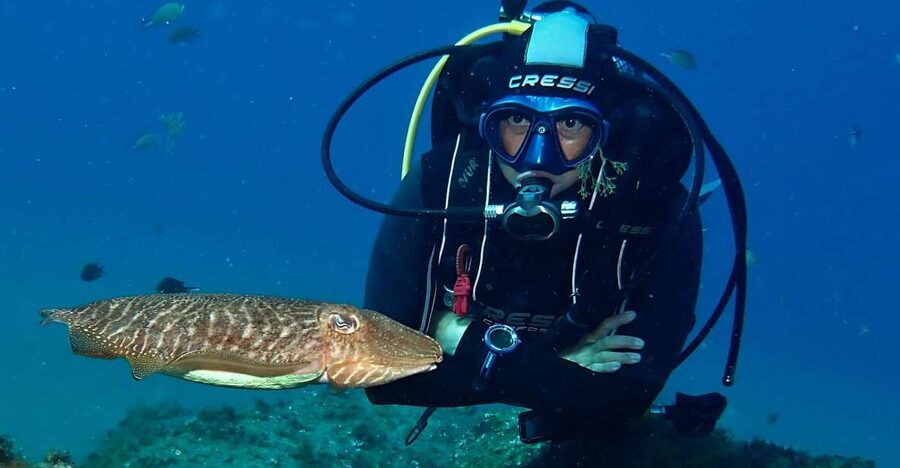 Puerto Del Carmen: Try Scuba Diving with 2 Dives and Photos - The briefing: breathing, signals, and safety first