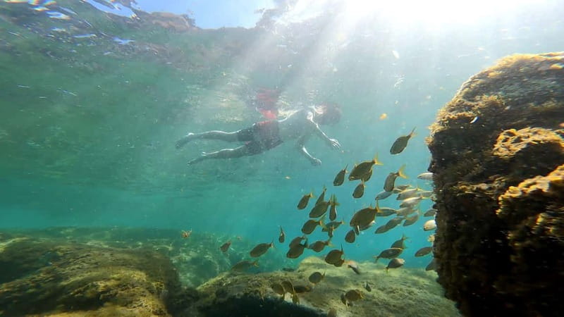 Puerto Mogán: Guided Adventure Kayak Tour in Caves & Snorkel - What kind of adventure is this?