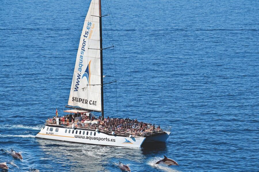 Puerto Rico : 2 hour Dolphin Catamaran Excursion - Searching for dolphins, whales, turtles, and flying fish