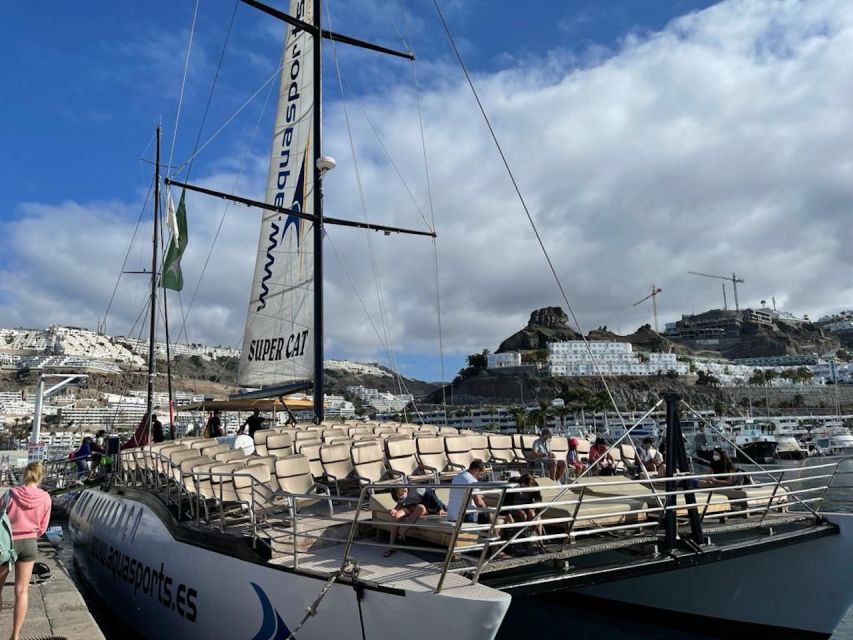 Puerto Rico : 2 hour Dolphin Catamaran Excursion - What the onboard experience is like