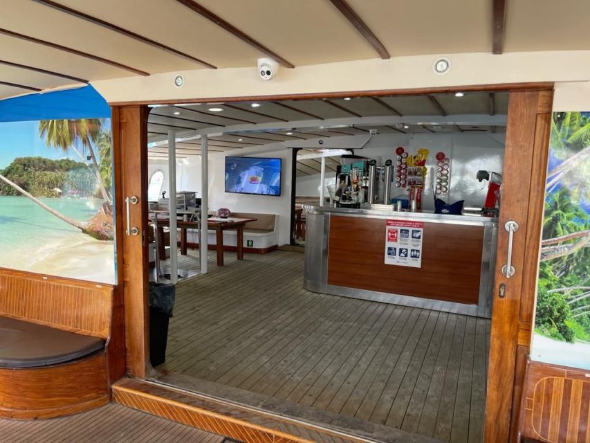 Puerto Rico : 2 hour Dolphin Catamaran Excursion - Who will enjoy this catamaran trip most
