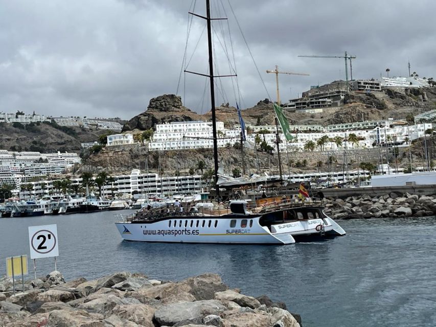Puerto Rico : 2 hour Dolphin Catamaran Excursion - Planning your day around the departure