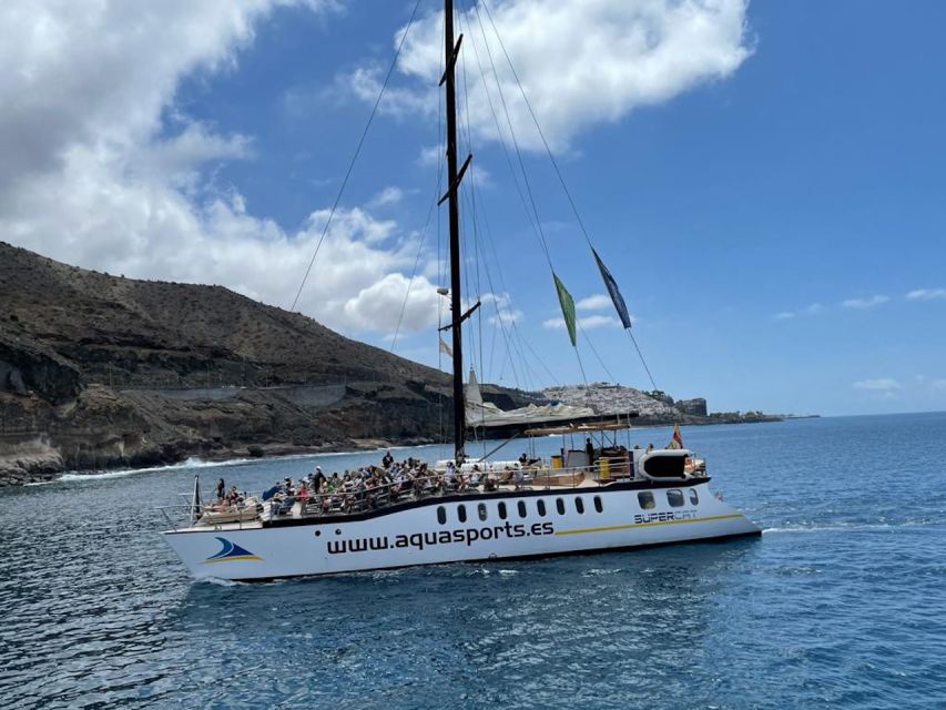 Puerto Rico : 2 hour Dolphin Catamaran Excursion - The wildlife guarantee, explained clearly