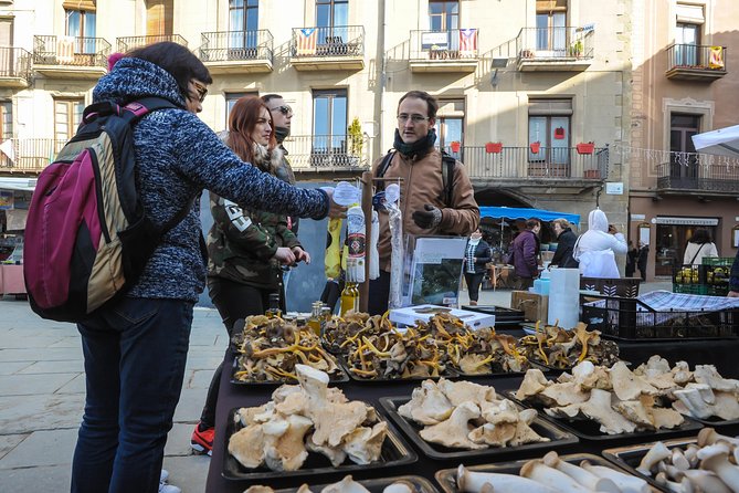 Pyrenees & Medieval Towns Small Group Tour from Barcelona - Vall de Núria: your main mountain break