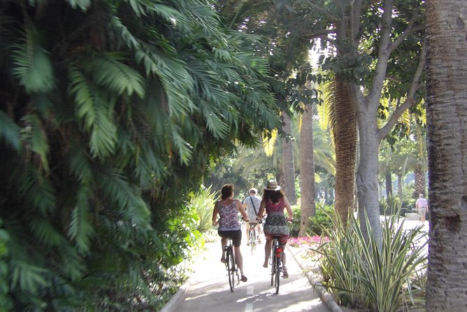 Rent a City Bike: Full Day 24 hours - Why a Bike Works So Well in Málaga