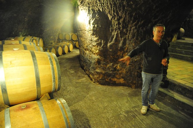 Ribera del Duero Wineries Guided Tour & Wine Tasting from Madrid - Roa lunch break and Castilian food