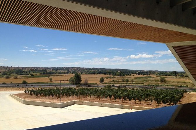Ribera del Duero Wineries Guided Tour & Wine Tasting from Madrid - Third winery: medieval tunnels beneath Curiel de Duero