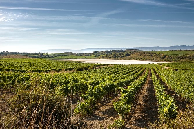 Rioja Wine Tour: 2 Wineries From Bilbao - Why Rioja makes a good day trip from Bilbao