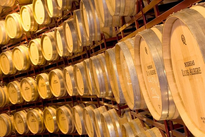 Rioja Wine Tour: 2 Wineries From Bilbao - The guides make or break the day
