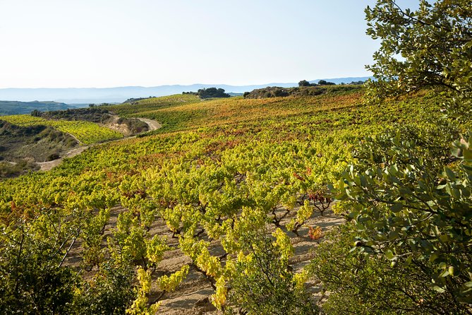 Rioja Wine Tour: 2 Wineries From Bilbao - Is $290.25 a fair price?