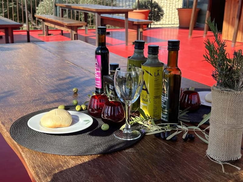Ronda: LA Almazara LA Organic, Olive Oil Museum and Tasting - Key points before you book