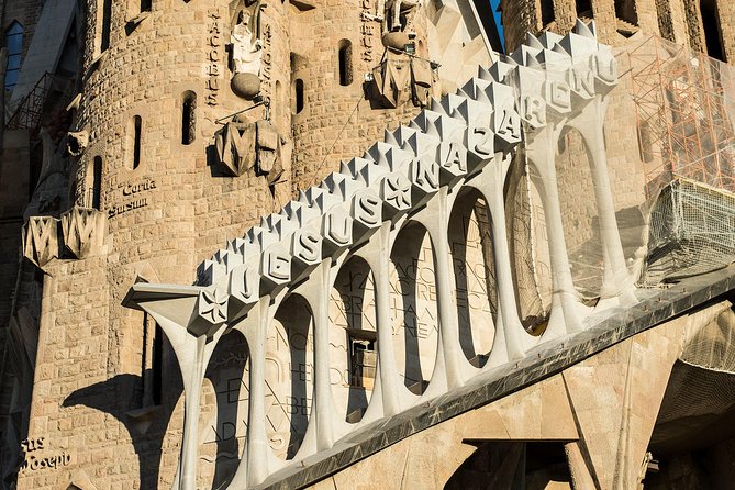 Sagrada Familia Private Guided Tour with Skip the Line Tickets - Inside the basilica: light, columns, and natural forms