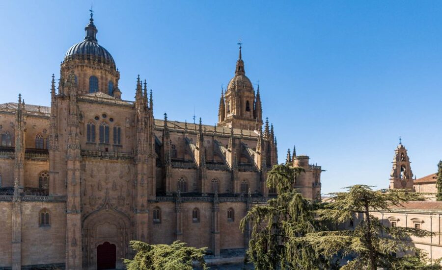 Salamanca: Cathedral of Salamanca Ticket with Audio Guide - Entering the New Cathedral