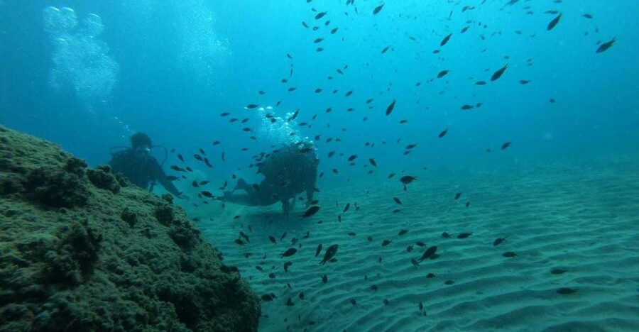 Salou: Scuba Diving for Beginners - Key points before you book