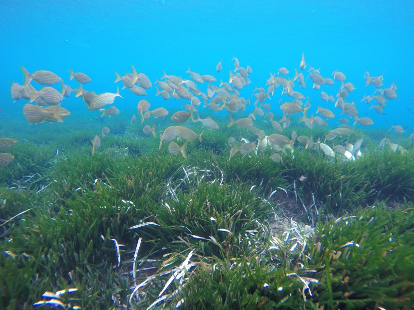 San José: Cabo de Gata Natural Park Kayak and Snorkel Tour - Who will enjoy this kayak and snorkel trip