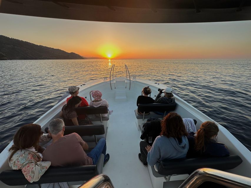 San Sebastian: 2 Bays Evening or Sunset Boat Tour with Cava - La Concha to Zurriola, the city from the water