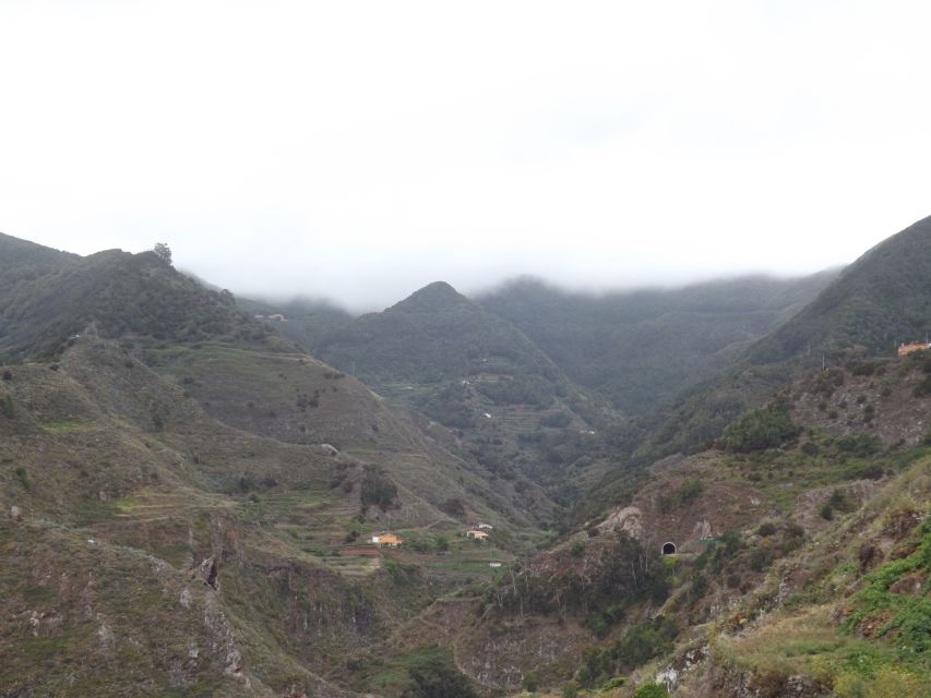 Santa Cruz de Tenerife: 2-Hour Hiking Tour in Anaga Forest - Key points to know before booking