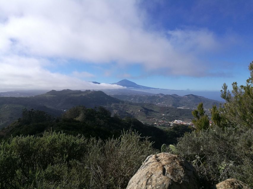 Santa Cruz de Tenerife: 2-Hour Hiking Tour in Anaga Forest - A gentle trail for beginners