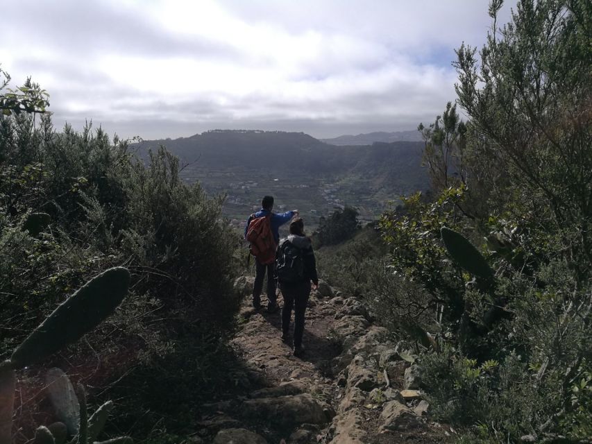 Santa Cruz de Tenerife: 2-Hour Hiking Tour in Anaga Forest - Weather, cancellations, and timing