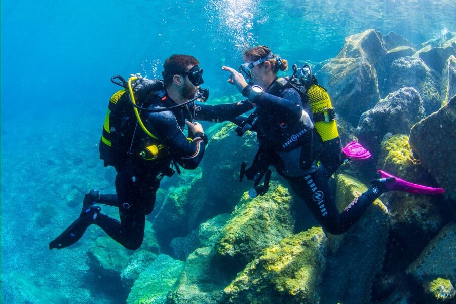 Santa Cruz de Tenerife: Beginner's Diving & Introduction - What the five-star praise points to