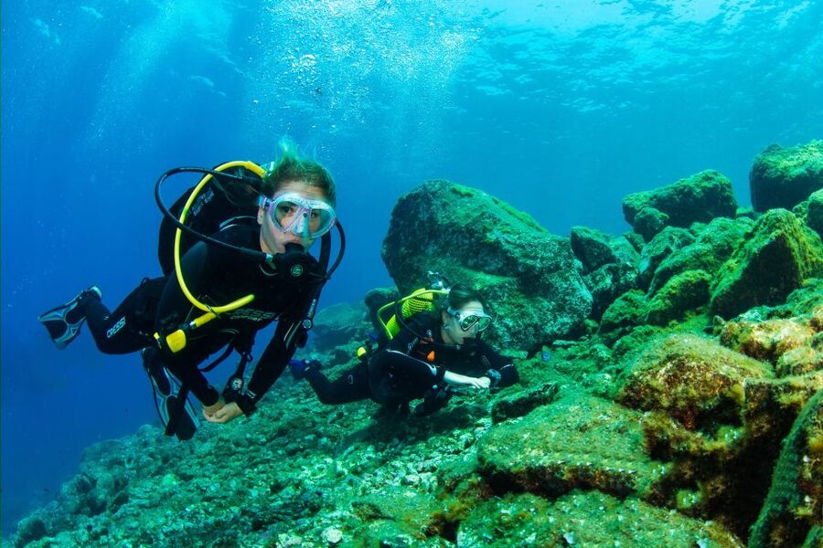 Santa Cruz de Tenerife: Beginner's Diving & Introduction - The first hour: equipment, safety, and getting comfortable