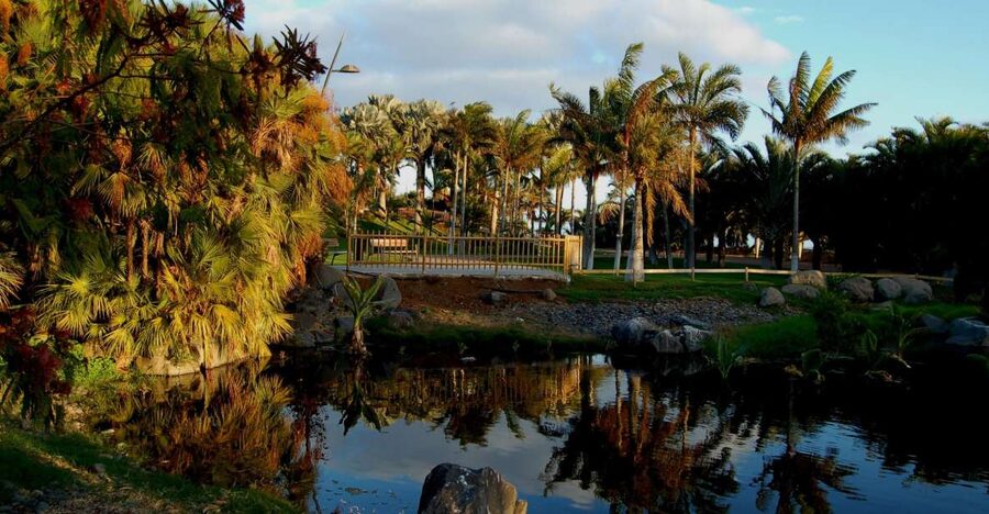 Santa Cruz de Tenerife Palmetum Entry Ticket - Key points to know before you go