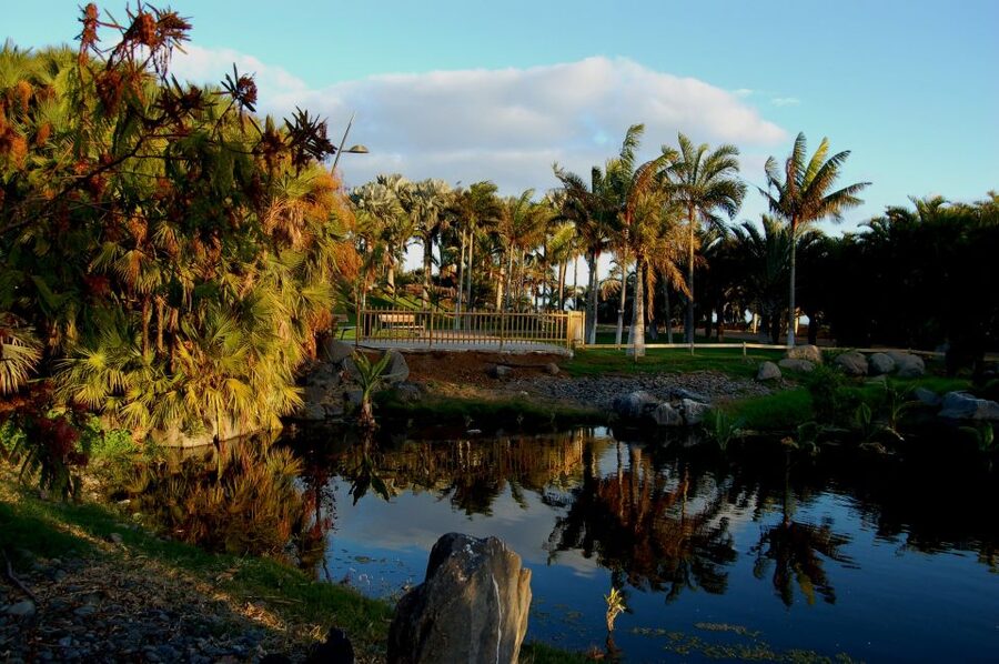 Santa Cruz de Tenerife Palmetum Entry Ticket - Lakes, waterfalls, and volcanic rock