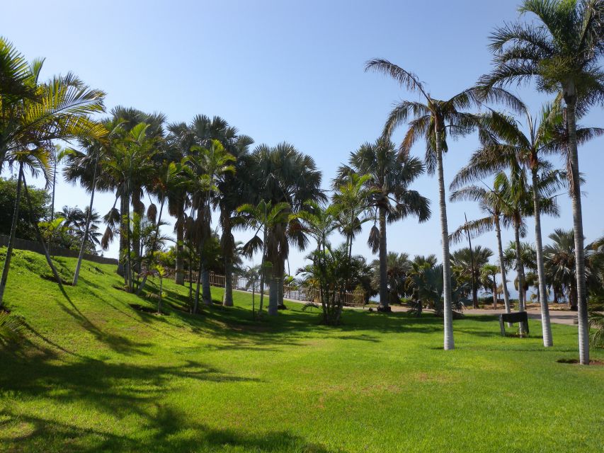 Santa Cruz de Tenerife Palmetum Entry Ticket - What you see during the walk