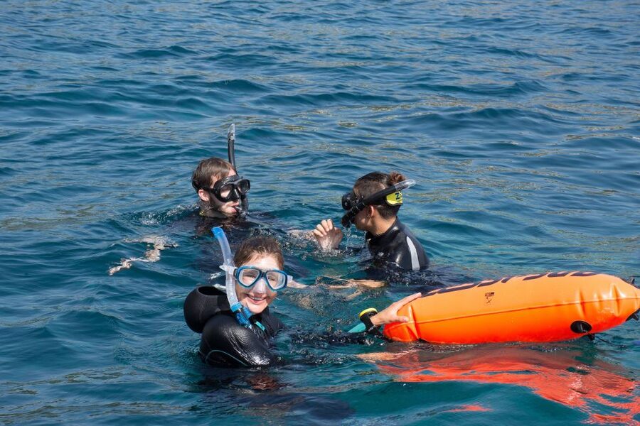 Santa Ponsa: Snorkeling Tour in a Marine Reserve - Practical booking advice before you go