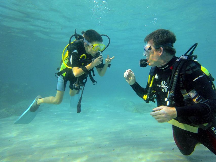 Santa Ponsa: Try Scuba Diving in a Marine Reserve - Transport from Santa Ponsa and nearby resorts