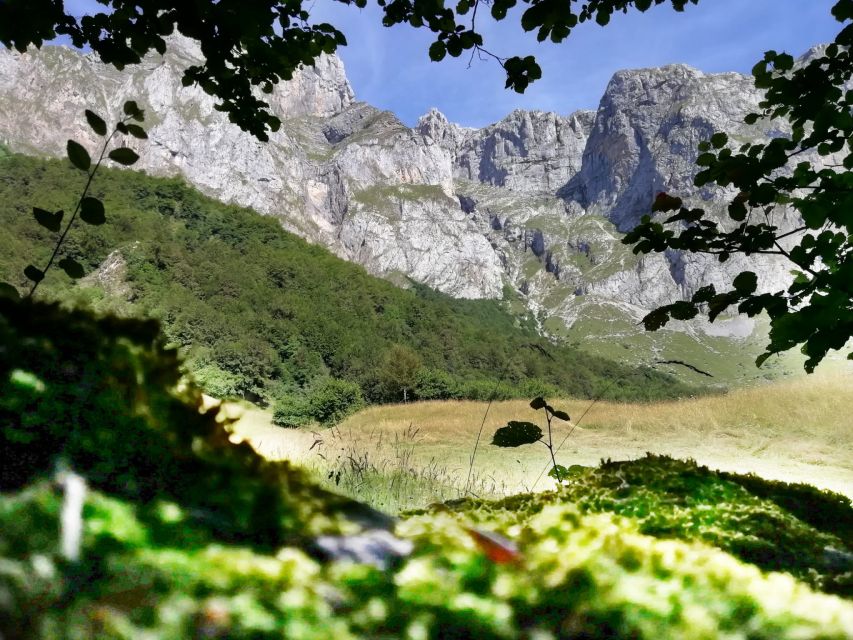 Santander: Picos, Santo Toribio Monastery and Potes Day Tour - Who Will Enjoy This Tour Most?