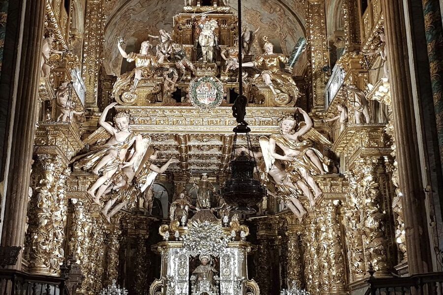 Santiago Complete Tour: City, Portico and Cathedral Tickets - Who will get the most from this tour