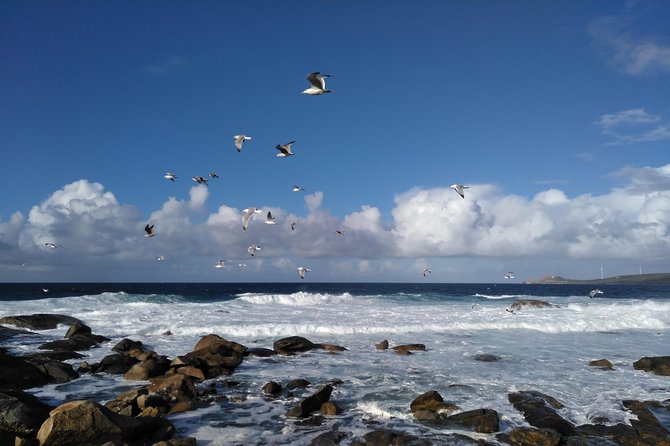 Santiago de Compostela: Finisterre, Muxia & Costa da Morte - Carnota, Lira, and the Atlantic views