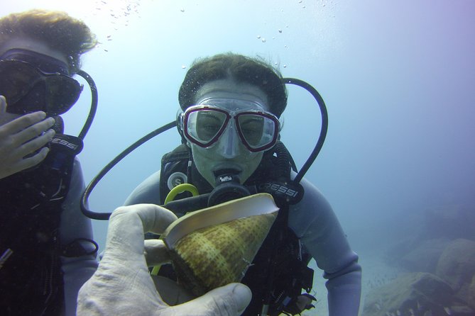 Scuba Diving Beginner's Session in Costa Adeje - What the visibility can mean for your day