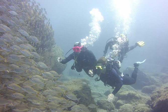 Scuba Diving Beginner's Session in Costa Adeje - Why families and nervous swimmers may like it