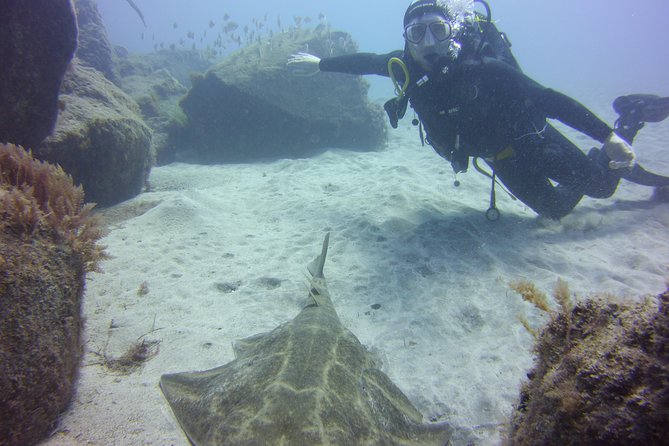 Scuba Diving Beginner's Session in Costa Adeje - The important flight and health rule