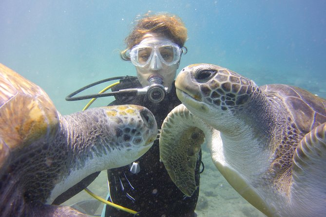 Scuba Diving Beginner's Session in Costa Adeje - The beach entry and 45-minute sea session